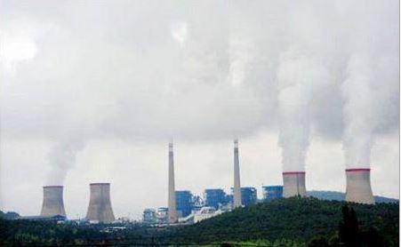 2025澳门原料网大全